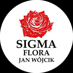 SIGMA FLORA - HORTENSJE CIĘTE, Wilanów