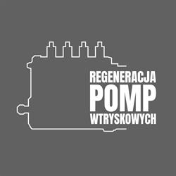 Regeneracja pomp wtryskowych Tomasz Litwin