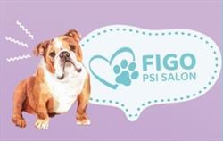 Figo - psi salon