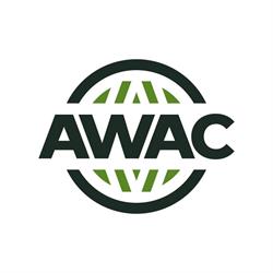 AWAC Andrzej Wiechowski