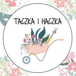 Taczka i Haczka