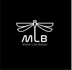 Fundacja MLB
