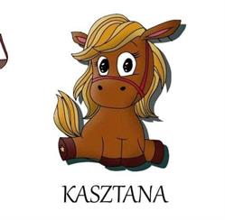 Kucykolandia Dawid Widawski