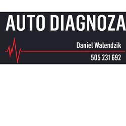 Auto Diagnoza