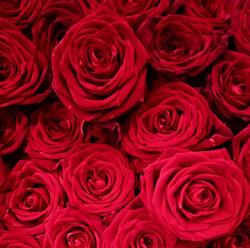 Kwiaciarnia Marta Art Florist