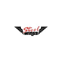 Steel Wings Markus Reiser