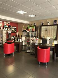 Eurooptical