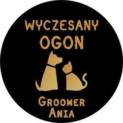 Wyczesany OGON Salon Groomerski Anna Pindral-Remus