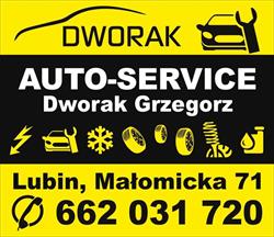 Auto-Service Mechanika Pojazdowa Dworak Grzegorz