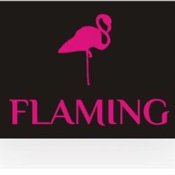 SKLEP FLAMING JUSTYNA CYGLICKA
