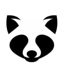 Raccoon