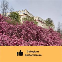 I LO Collegium Gostomianum