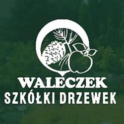 Drzewka Waleczek