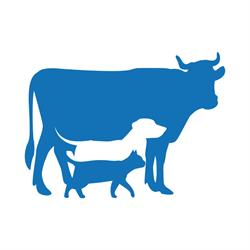 Gabinet Weterynaryjny UniVet Głubczyce