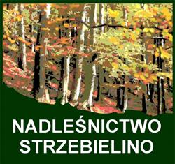 Nadleśnictwo Strzebielino, Lasy Państwowe