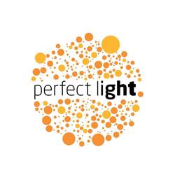 Perfect Light