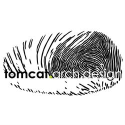 tomcat.arch.design