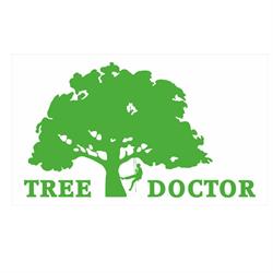 Wycinka drzew Tree Doctor
