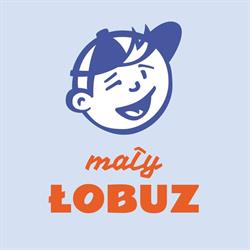 Niepubliczny Żłobek Mały Łobuz Kraków