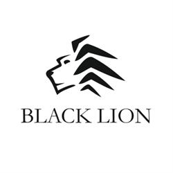 Apartamenty Black Lion