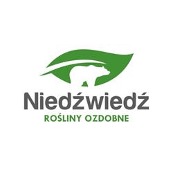 Niedźwiedź Rośliny Ozdobne