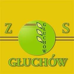 Zespół Szkół w Głuchowie