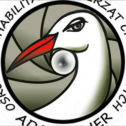 Ada Atelier