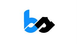 Branet Solution - projektowanie i wdrażanie stron/sklepów www