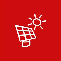 Sun Fee