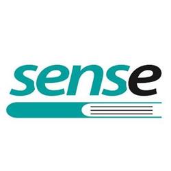 Wydaj z sensem