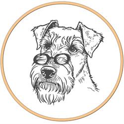 Groomer Vision