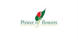 Hurtownia Kwiatów Power Of Flowers