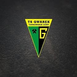 TS Gwarek Tarnowskie Góry