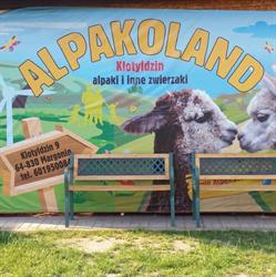 Alpakoland Klotyldzin - Alpaki I Inne Zwierzaki