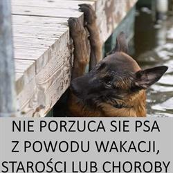 Towarzystwo Opieki nad Zwierzętami w Człuchowie