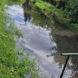 Rodzinny Ogród Działkowy Zelmot w Warszawie