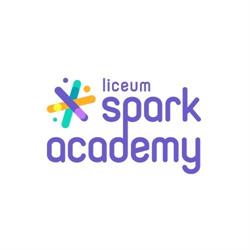 Fundacja Spark Academy