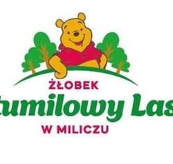 Publiczny żłobek w Miliczu Stumilowy Las