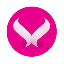 Projekt Salus feminis