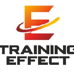 Training Effect