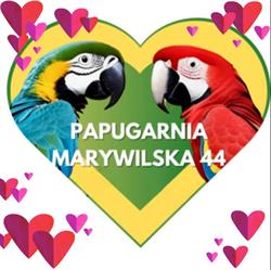 Papugarnia Marywilska 44 Warszawa