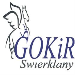 Gokir Świerklany