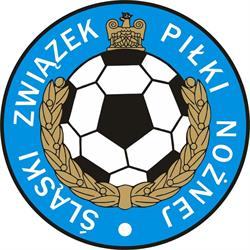 Śląski Związek Piłki Nożnej