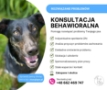 Konsultacja behawioralna