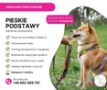 Podstawowe posłuszeństwo - Pieskie Podstawy