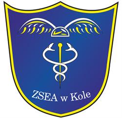Zespół Szkół Ekonomiczno Administracyjnych w Kole