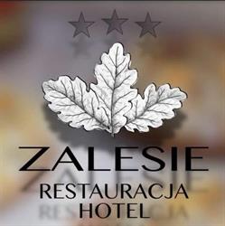 Hotel Zalesie Bochnia
