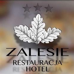 Hotel Zalesie Bochnia