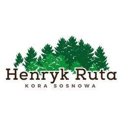 Henryk Ruta Kora sosnowa