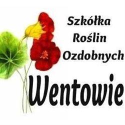 Szkółka Roślin Ozdobnych Wentowie